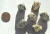 6 15x20mm Dalmatian Jasper